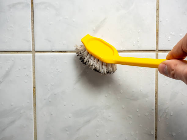 Best Mold Remediation Services  in Altus, OK