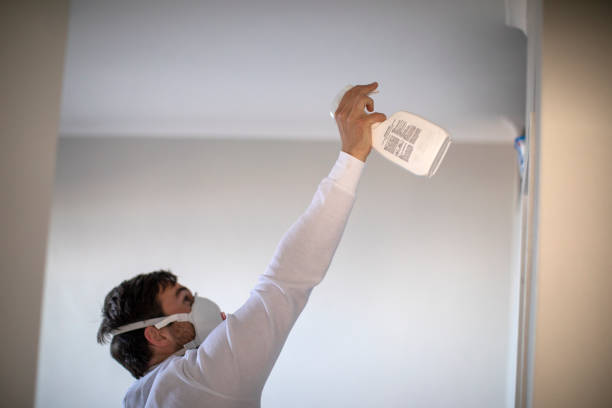 Best Home Mold Removal  in Altus, OK