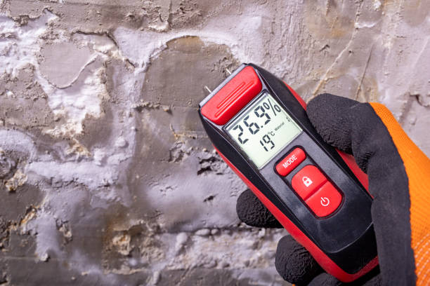 Best Crawl Space Mold Removal  in Altus, OK