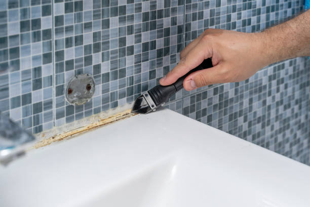 Best Home Mold Removal  in Altus, OK
