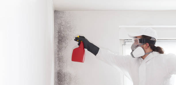Best Residential Mold Removal  in Altus, OK